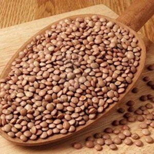 KALI MASOOR DAL